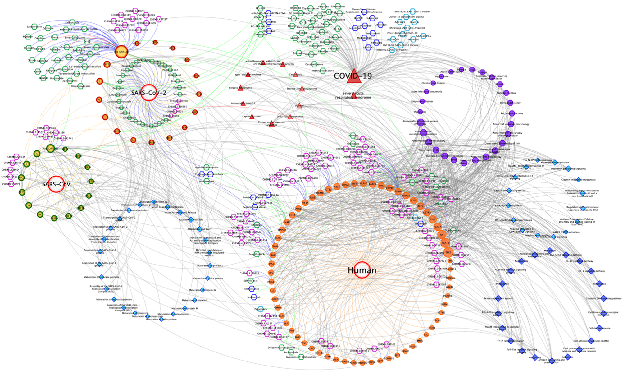 Simplified COVID-19 Knowledge Graph