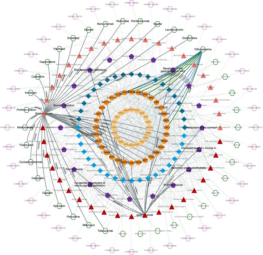 Example knowledge-graph.